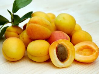 Aprikosen für Vitamin B3 Niacin