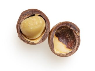 Macadamia für Thiamin bzw. Vitamin B1