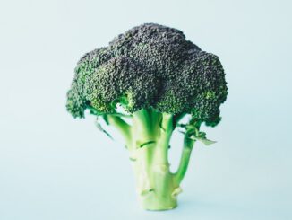 Broccolie enthält Riboflavin das B-Vitamin B2