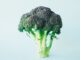 Broccolie enthält Riboflavin das B-Vitamin B2